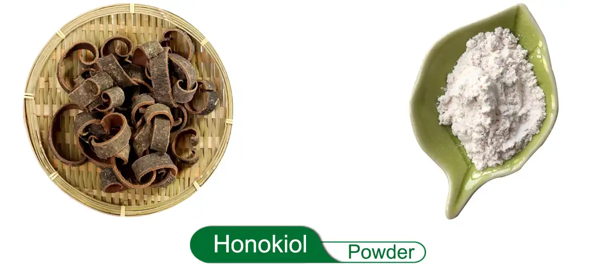 Honokiol Saler.jpg